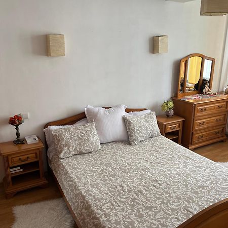 Apartament 1 Plus Rooms In Centrul Orasului - Unirii Fantanii Boekarest Buitenkant foto